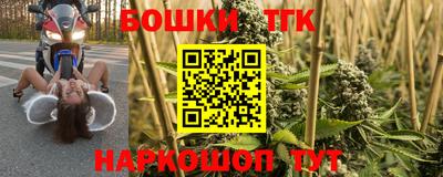 прущие грибы Краснознаменск